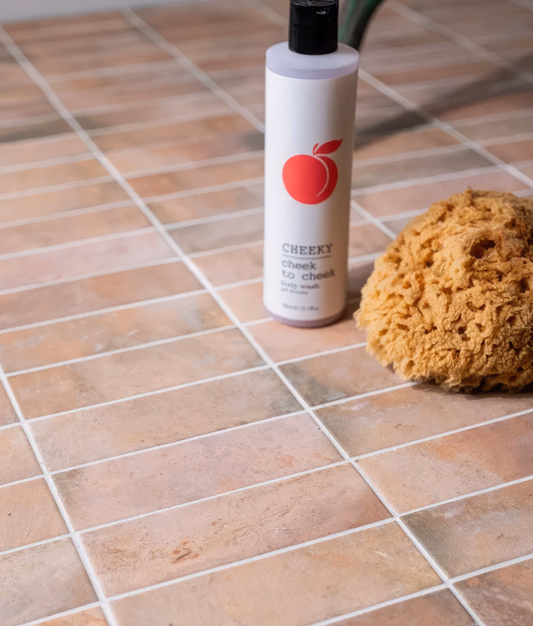 Tile Cleaning and Sealing in Toronto