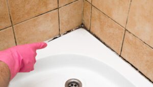 Shower Mold Removal in Toronto