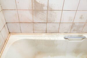 Shower Mildew Removal in Toronto