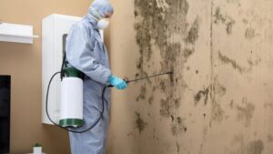 Bathroom Mold Remediation in Toronto
