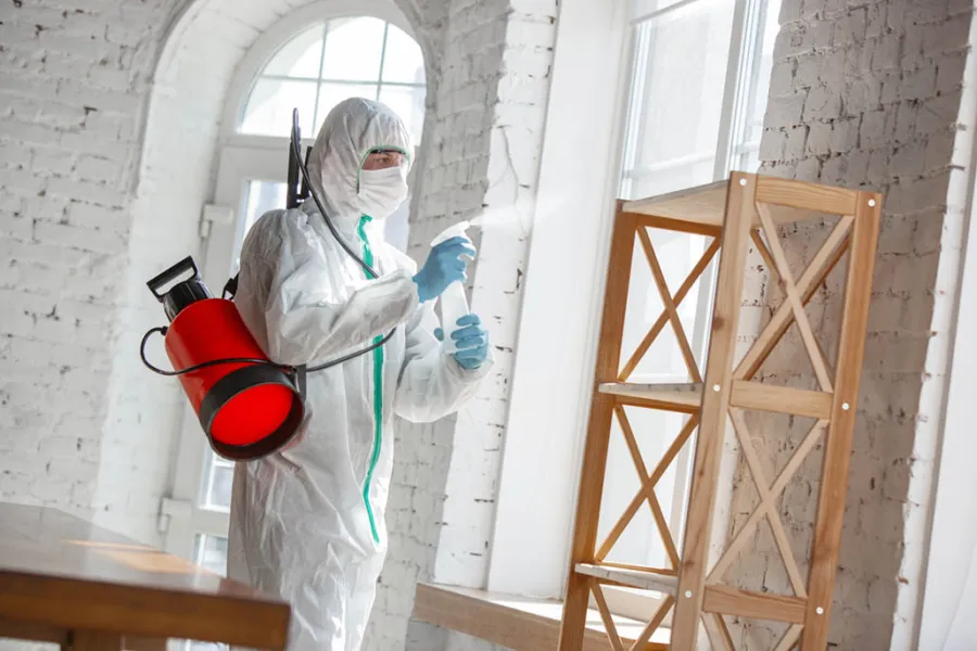 Bathroom Mold Remediation in Toronto