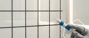 How to Prevent Mold in Shower