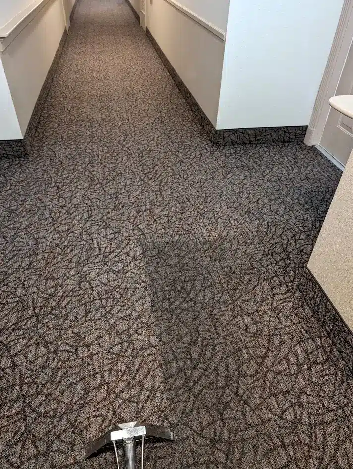 Tile Cleaning Consultation in Toronto