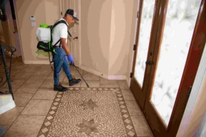 Tile Polishing and Sealing 3 Tile Polishing and Sealing