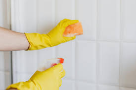 Mold Removal From Bathroom Tiles
