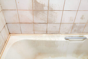 Mold Removal From Bathroom Tiles