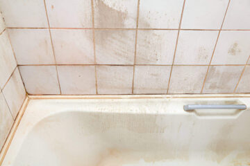 Mold Removal From Bathroom Tiles