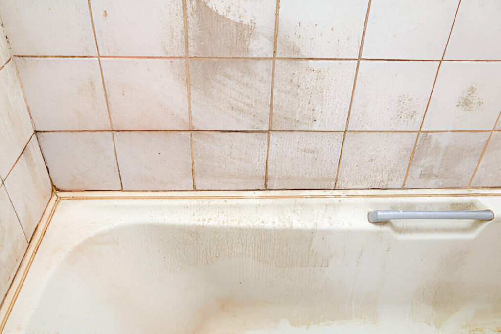 Mold Removal From Bathroom Tiles