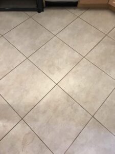 Get Rid of Mold in Shower Grout