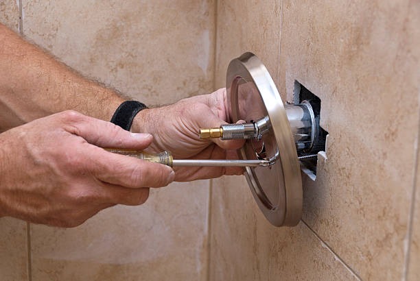 Mould Removal from Grout in Showers