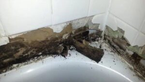 Mould Removal from Grout in Showers