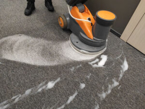 Carpet Cleaning Experts in Toronto 3 Carpet Cleaning Experts in Toronto