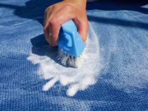 Carpet Cleaning Specialists in Toronto 3 Carpet Cleaning Specialists in Toronto