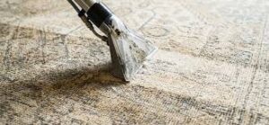 Insured Carpet Cleaning in Toronto