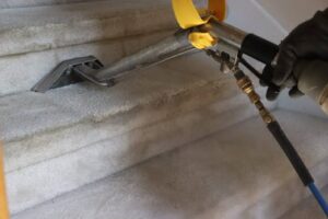 Licensed Carpet Cleaners in Toronto 2 Licensed Carpet Cleaners in Toronto