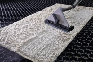 Professional Home Carpet Cleaning in Toronto