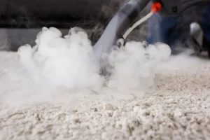 Professional Home Carpet Cleaning in Toronto