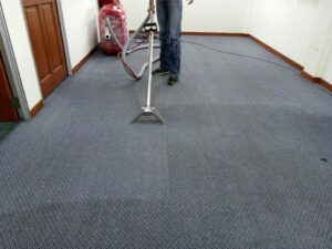 Same Day Carpet Cleaners in Toronto