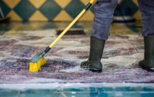 Trusted Carpet Cleaners in Toronto