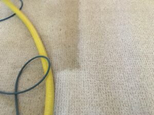 carpet cleaning for businesses in Toronto